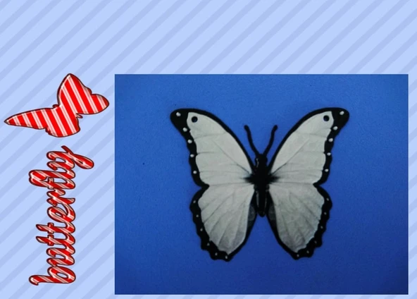 Byr Kelebek Kelebek Kolye / Kolye (Plastik Aparattır!!!) 3D ürün görseli