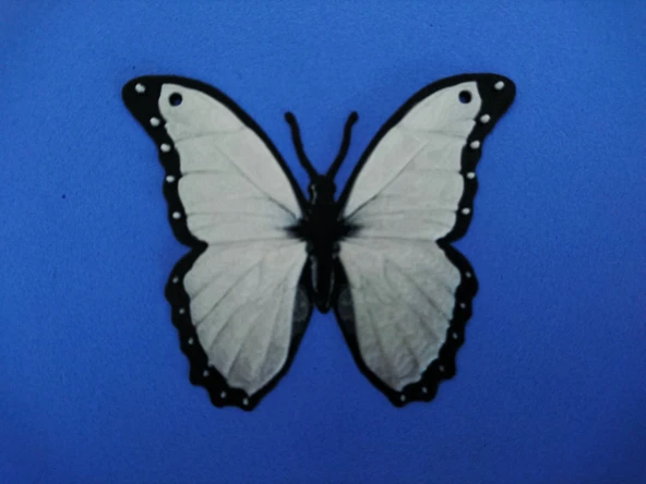 Byr Kelebek Kelebek Kolye / Kolye (Plastik Aparattır!!!) 3D - Resim 2