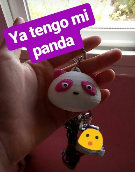 Byr Panda Ayı (Sadece Plastik Aparattır!!!) 3D - Resim 2