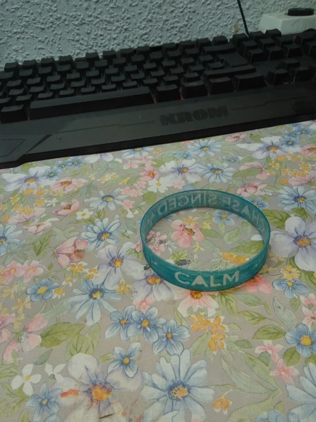 Byr Sakin olun ve şarkı söyleyen bileklik kovalamayın (Plastik Aparattır!!!) 3D - Resim 4