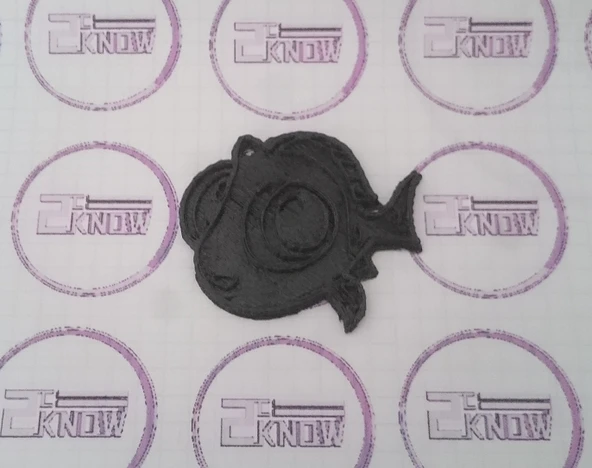 Byr Bebek Dory 2D - Pixar Dory Bulma - Anahtarlık (Plastik Aparattır!!!) 3D - Resim 2