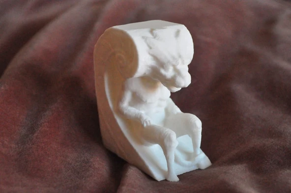 Biltmore Gargoyle (Plastik Aparattır!!!)