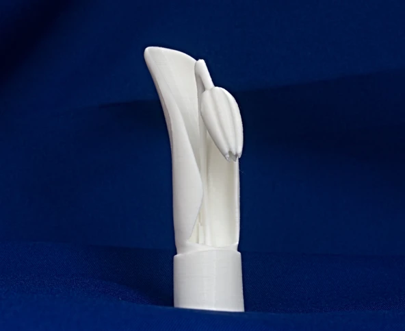 Byr Jean Gordon'un oymaları Lale (Sadece Plastik Aparattır!!!) 3D - 3