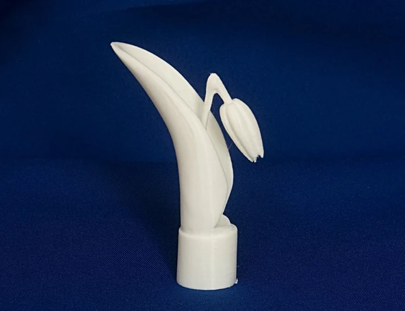 Byr Jean Gordon'un oymaları Lale (Sadece Plastik Aparattır!!!) 3D