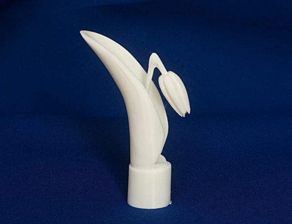 Byr Jean Gordon'un oymaları Lale (Sadece Plastik Aparattır!!!) 3D - 2