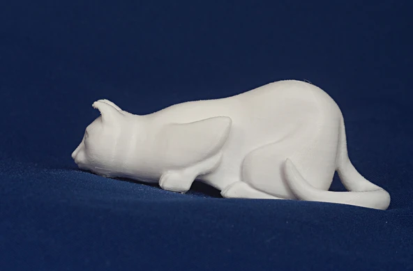 Byr Jean Gordon'un oymaları Çömelmiş Kedi (Plastik Aparattır!!!) 3D - 4