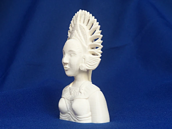 Byr Jean Gordon'un oymaları Başlıklı Kadın (Plastik Aparattır!!!) 3D - 5