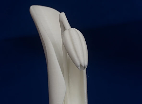 Byr Jean Gordon'un oymaları Lale (Sadece Plastik Aparattır!!!) 3D - 4