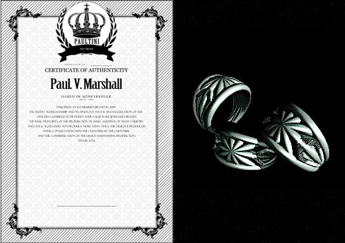 Byr gümüş : Yüzük : [ CINCOMAHAO ] (Sadece Plastik Aparattır!!!) 3D ürün görseli