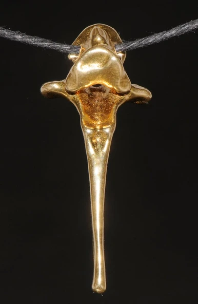 Byr Keçi omur kolye (Plastik Aparattır!!!) 3D ürün görseli 1