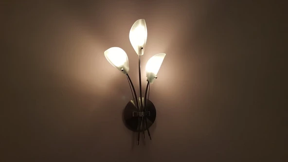 Byr Aplik Cam / Lamba (Sadece Plastik Aparattır!!!) 3D ürün görseli