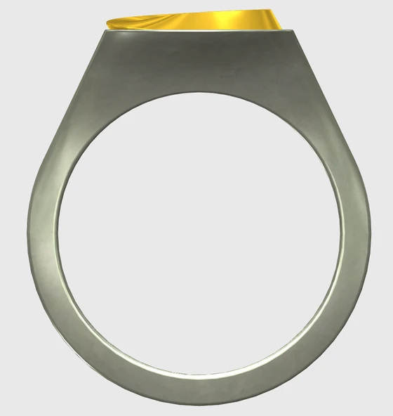 Byr Yüzük (Plastik Aparattır!!!) 3D - Resim 5