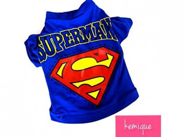 Superman Köpek Tişört
