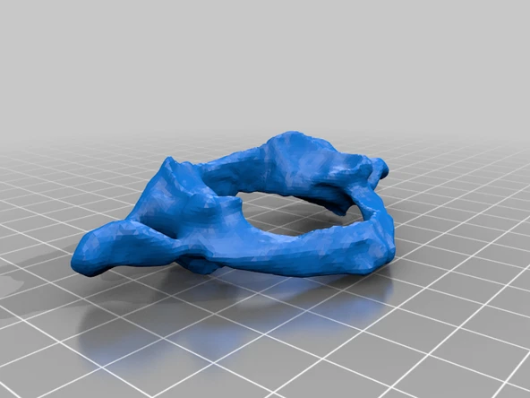 Byr Vertebra C1 Atlası (Sadece Plastik Aparattır!!!) 3D - Resim 3