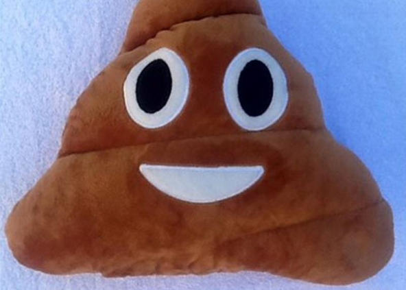 Esprili Kahverengi Gülen Poo Emoji Yastık - 4