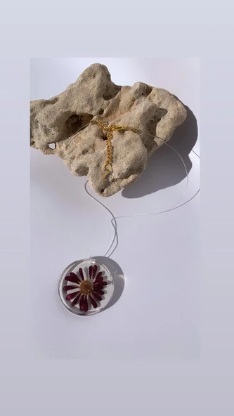 Şeffaf Renkli Kurutulmuş Mor Papatya Daire Şekilli Yunuslu Gold Aksesuarlı Misinalı Epoksi Kolye - 3