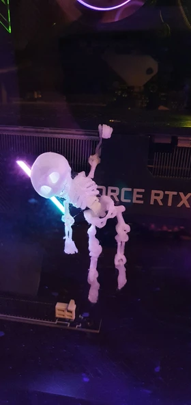 Byr Tek Parça Baskı Sarkan İskelet T2273896 3D - Resim 7