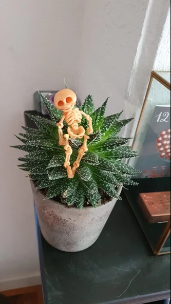 Byr Tek Parça Baskı Sarkan İskelet T2273896 3D - Resim 6