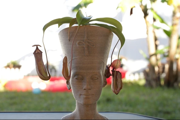 Nefertiti Büstü T1372787