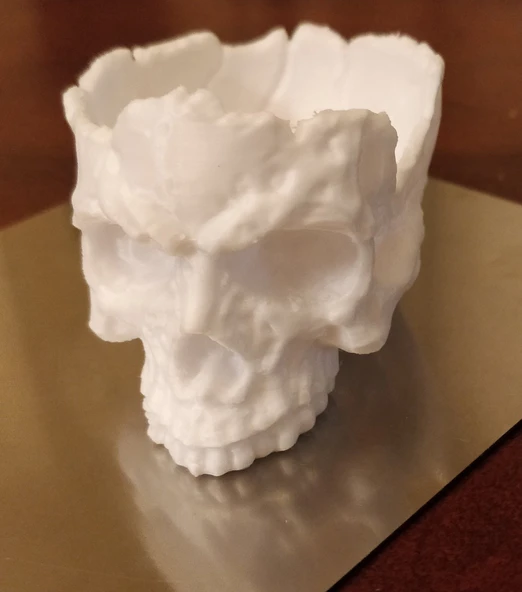 Byr Kafatası Kasesi  T6279902 3D