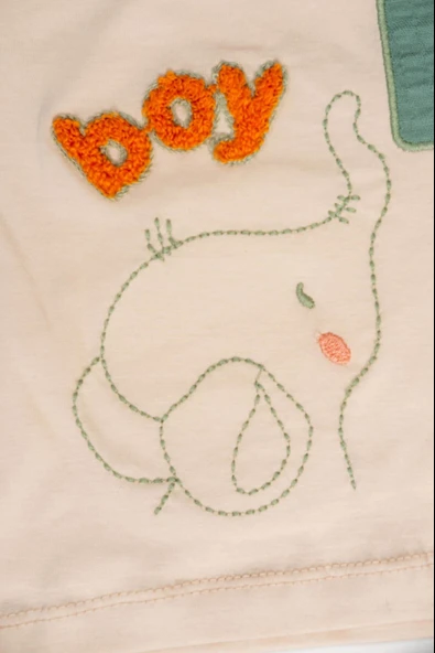 Boy Fil 2'li Erkek Çocuk Şortlu Takım - Yeşil - Resim 5