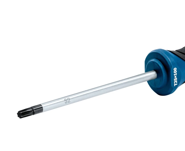 BOSCH Profesyonel T25 x 100 mm Deliksiz Torx Tornavida (1600A01V0D) - 4