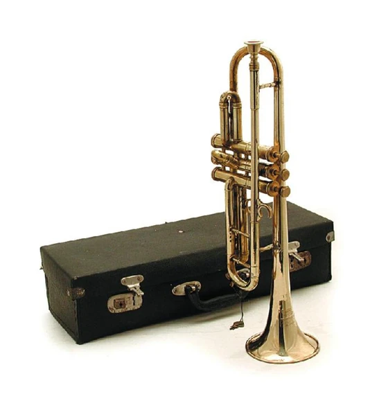 DENİZCİLİK GRUBU-Marine Pirinç Aksesuar-KUTULU TROMPET-49x10x14 CM-JTTR28222 ürün görseli