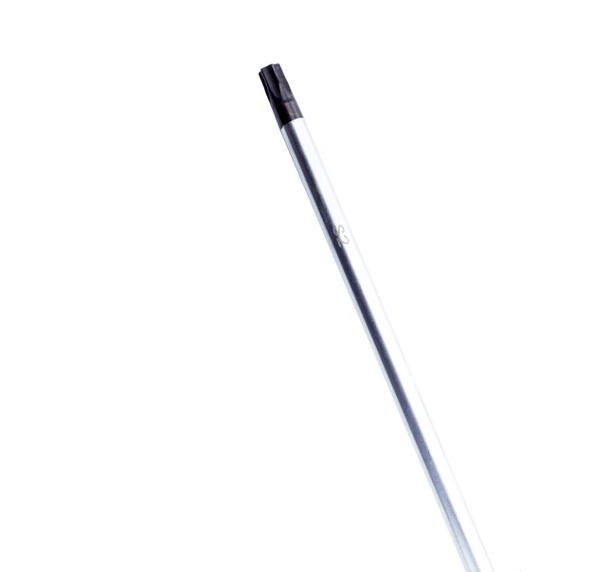 BOSCH Profesyonel T30 x 125 mm Deliksiz Torx Tornavida (1600A01V0E) - 5