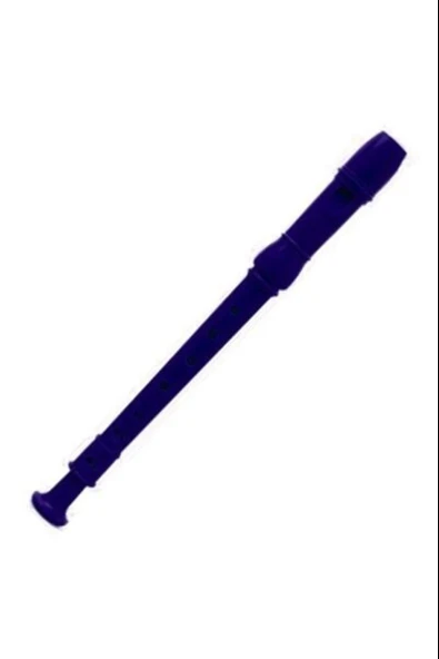 MAS BLOK FLÜT KUTULU MAVİ 880M