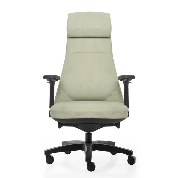 xDrive Konak Business Çalışma Koltuğu Large Kumaş Buz Yeşil