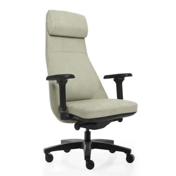 xDrive Konak Business Çalışma Koltuğu Large Kumaş Buz Yeşil - 2