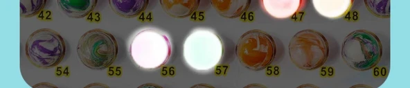 Ejderha Yılı Kutu Oyuncak - 110 Ejderha Yılı Sınırlı Luminous Çekiliş + Kutu - 8
