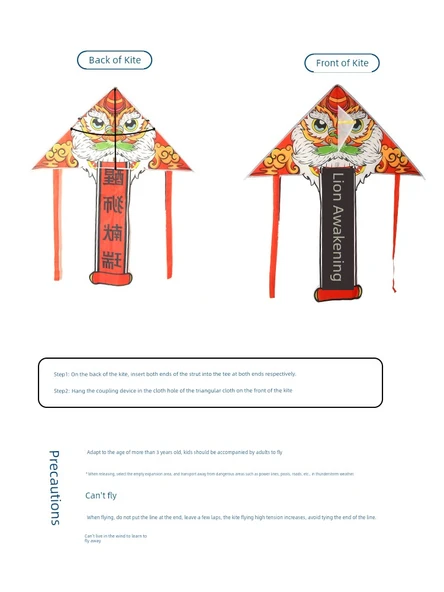 DIY Boyama Uçurtması - DIY Karikatür Boyama Uçurtması - Rastgele 10 (100 Pirinç Noodle Tahtası + 6 Pigment + Fırça) - 3