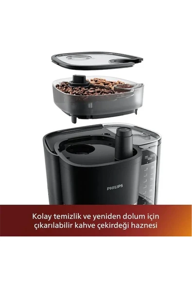 Philips 01 All-in-One Brew, Çekirdek Kahve Öğütücülü Filtre Kahve Makinesi - 4