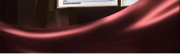 Uzaktan Kumandalı Robot Köpek Oyuncağı - Tek Elektrikli Tek Kumanda Ses Kontrolü - Beyaz - 8