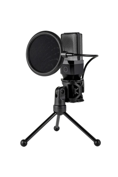 Coverzone Profesyonel Stüdyo Mikrofon 20-20kHz Kayıt Condenser Masaüstü Yayın PC Oyun Mikrofonu X1R