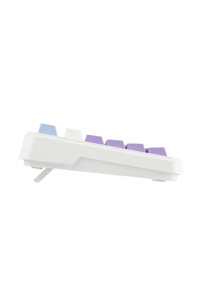 Coverzone Ajazz AK820 Max HE Hall Effect Manyetik Switch Kablolu Oyun Klavyesi 8000Hz Mor Beyaz - 4
