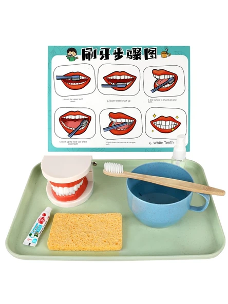 Montessori Erken Eğitim Diş Fırçalama Pratik Seti - Basit Yükleme (Diş Çürüğü Yok) - 6