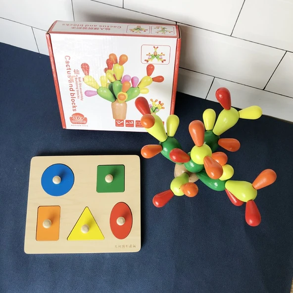 Montessori Geometrik Şekil Eşleştirme Bulmaca Tahtası - Geometrik Panel + Mozaik Kaktüs