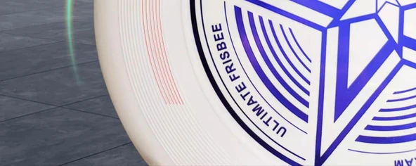 Profesyonel Dış Mekan Spor Frisbee - 175g Profesyonel Yarışma - Renkli ve Şık - 12