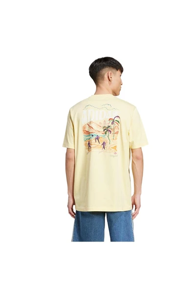 adidas Erkek  Sarı  T-shirt GRAPHIC TEE KC4958 - 2