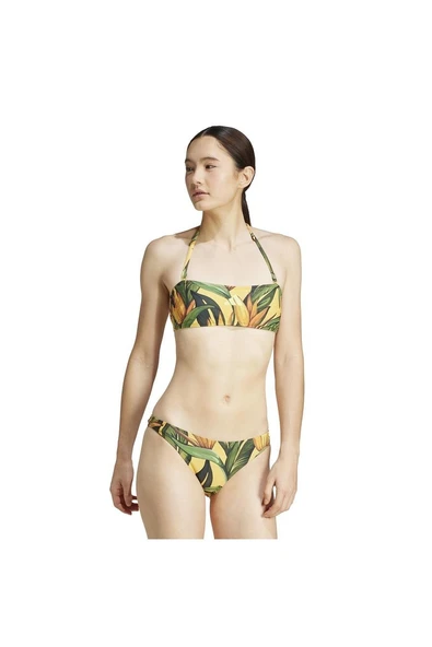 adidas  Kadın  Bikini FARM BIKINI JF6037 - 4