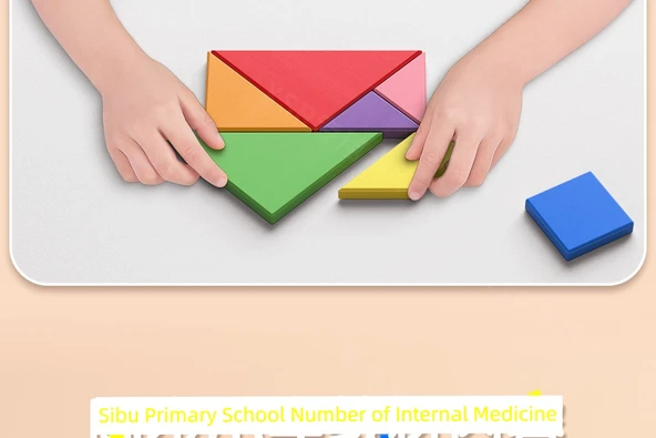Ahşap Manyetik Tangram Bulmaca Seti - Manyetik Tangram (94 Banknot + 40 Madeni Para + Depolama Çantası) ile - 11