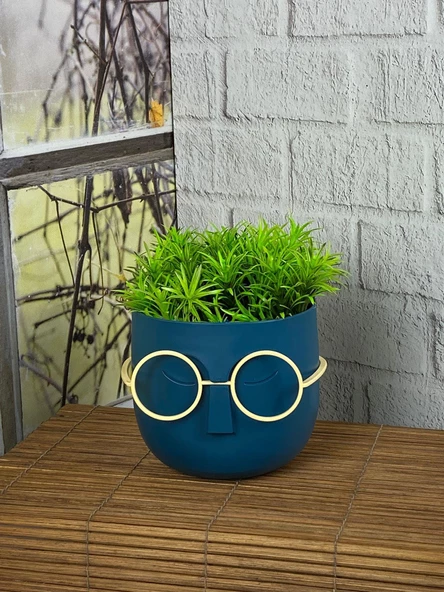 Hometarz Profesör Saksılar Yapay Sukulent Çiçek Gözlüklü Çim - 5