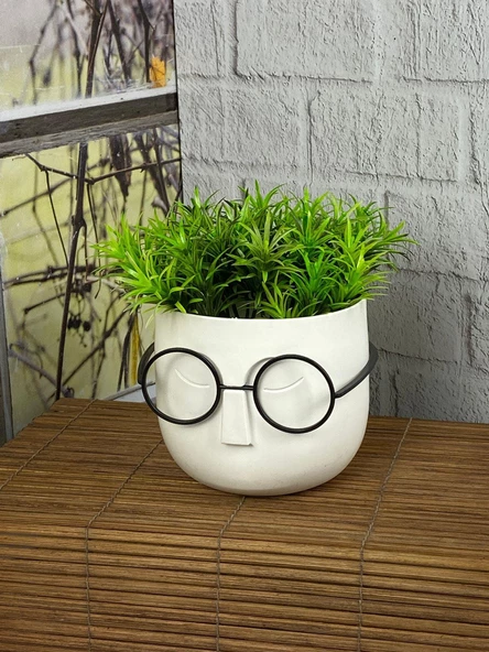 Hometarz Profesör Saksılar Yapay Sukulent Çiçek Gözlüklü Çim - 3