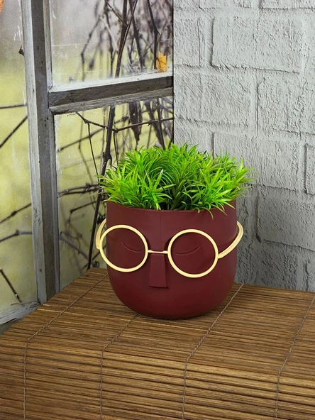 Hometarz Profesör Saksılar Yapay Sukulent Çiçek Gözlüklü Çim - 2