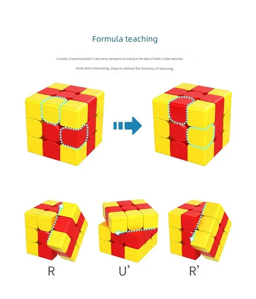 Eğitici Rubik Küpü - Altı Renkli Akçaağaç Yaprağı - 10