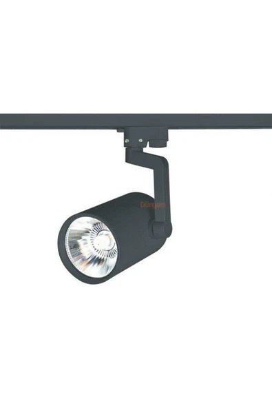 Cata 30 Watt Siyah Kasa Gün Işığı Castor Led Ray Spot ( Ct-5334)