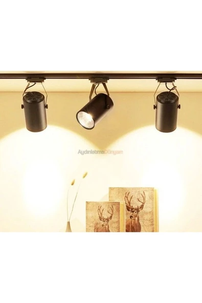 Cata 30 Watt Siyah Kasa Gün Işığı Castor Led Ray Spot ( Ct-5334) - 3