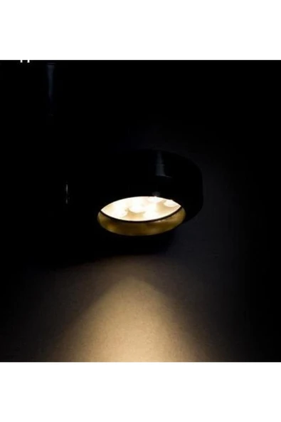 Cata 30 Watt Siyah Kasa Gün Işığı Castor Led Ray Spot ( Ct-5334) - 2